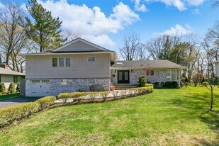 22 Olive St in Lake Success, NY - Building Photo