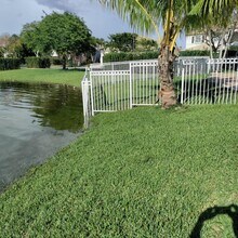 16729 SW 16th St in Pembroke Pines, FL - Building Photo - Building Photo