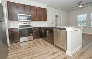 Tomball Senior Village in Tomball, TX - Building Photo