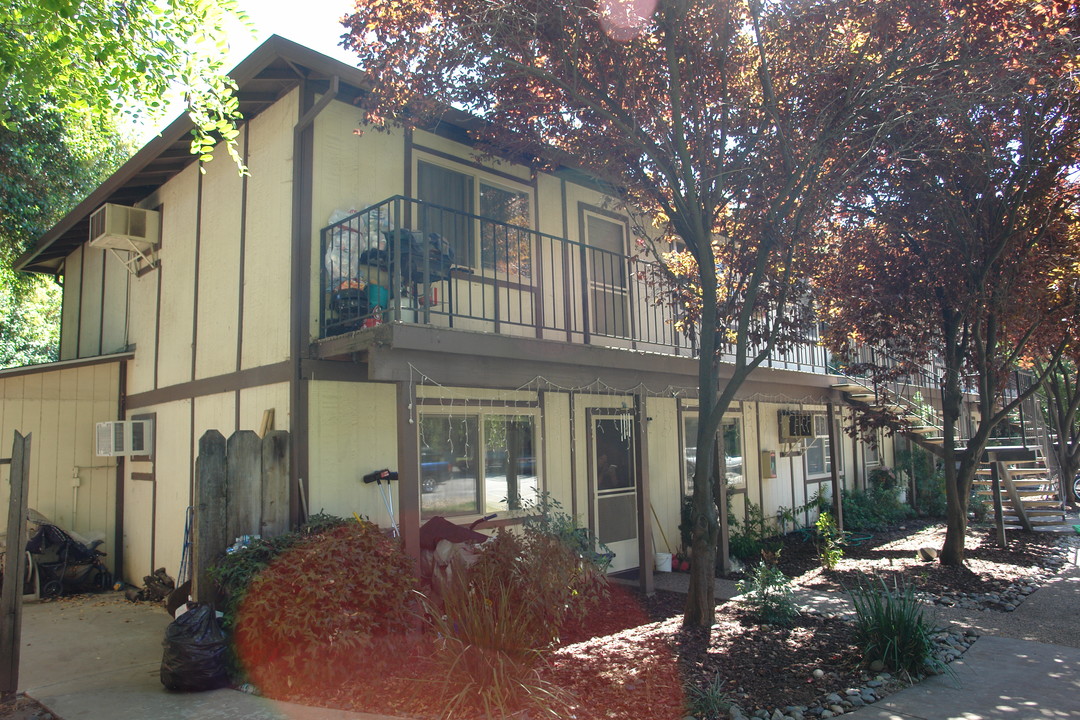 Birch Tree Apartments in Chico, CA - Building Photo