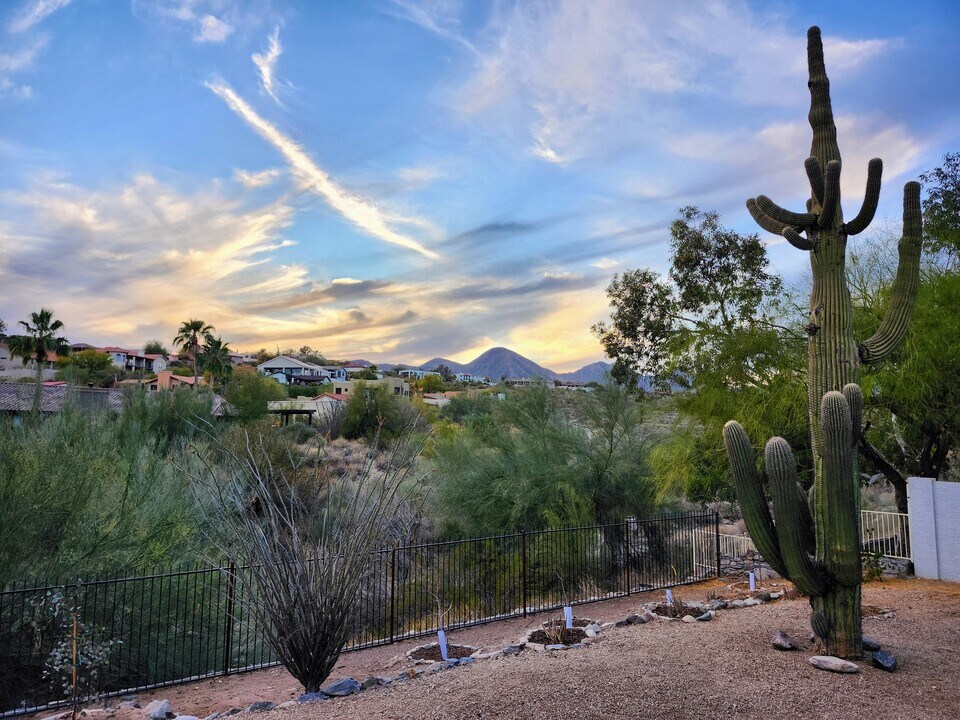 16414 Dixie Mine Trail in Fountain Hills, AZ - Foto de edificio