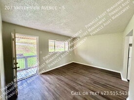 207 Valley View Ave in Chattanooga, TN - Building Photo
