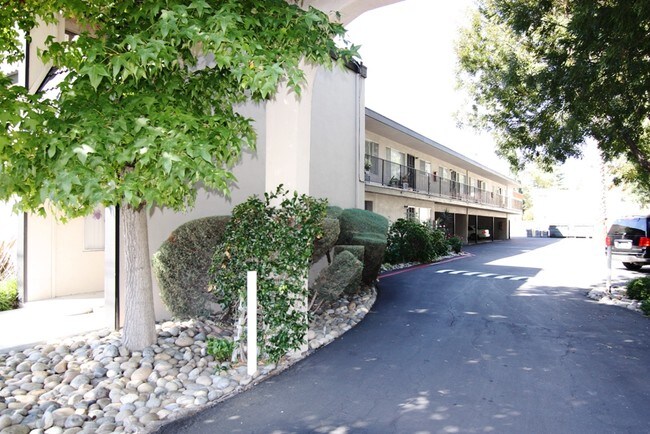 Homestead Apartments in Santa Clara, CA - Building Photo - Building Photo