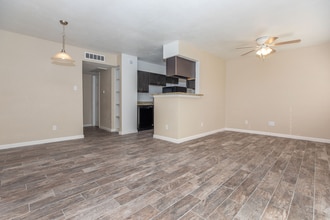 Chase View Apartments in Houston, TX - Foto de edificio - Building Photo