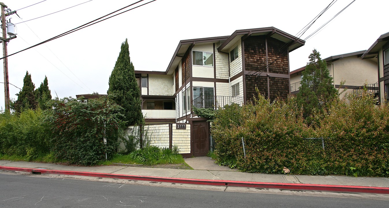 3777 Kerner Blvd in San Rafael, CA - Building Photo