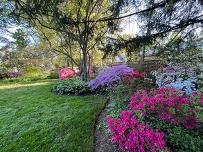 6805 Millwood Rd in Bethesda, MD - Building Photo - Building Photo