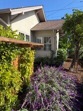 133 Washburn Ave in Santa Cruz, CA - Building Photo - Building Photo