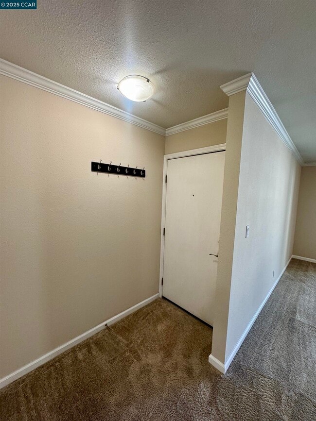 315 Masters Ct in Walnut Creek, CA - Building Photo - Building Photo