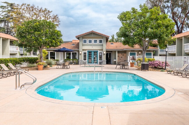 Serena Vista Apartments