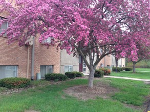 Ridgeway Apartments in Haslett, MI - Building Photo - Building Photo