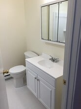 62 E Market St in Red Hook, NY - Building Photo - Building Photo