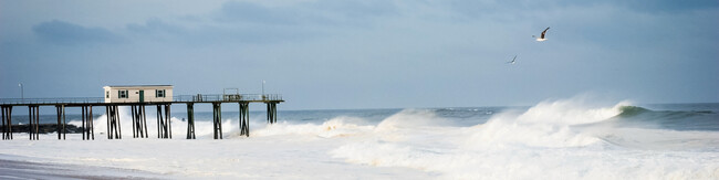 Apartamentos Alquiler en West Belmar, NJ