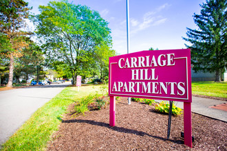 Carriage Hill Apartments in Medina, OH - Building Photo - Building Photo