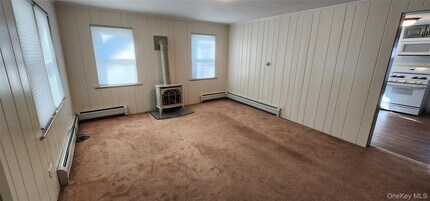 6 Lower Brook Rd in Sparrow Bush, NY - Building Photo - Building Photo