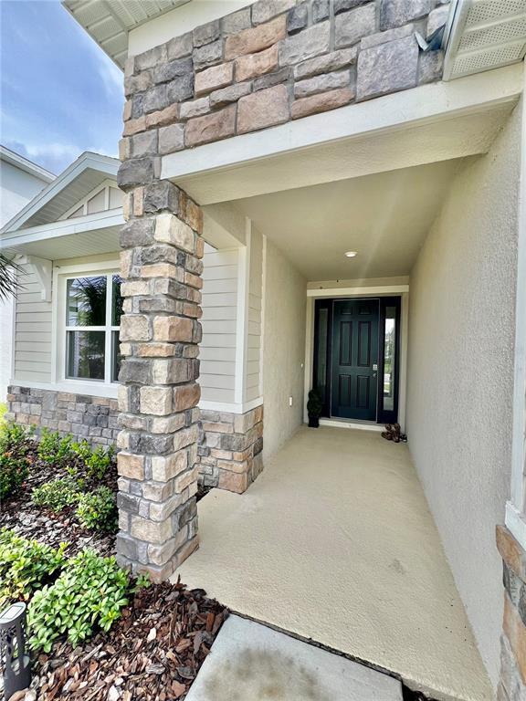 33869 Field Maple Lp in Wesley Chapel, FL - Building Photo - Building Photo