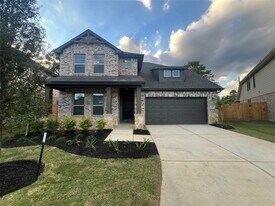 21843 Carballo Oak Trl in Tomball, TX - Building Photo