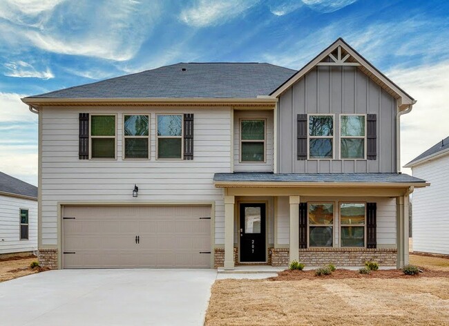 property at 207 Alyssa Lndg Dr