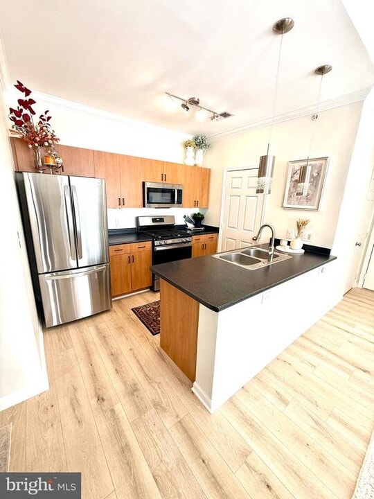 19623 Galway Bay Circle in Germantown, MD - Building Photo