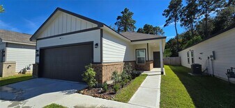 16834 Pandora Wy in Porter, TX - Building Photo