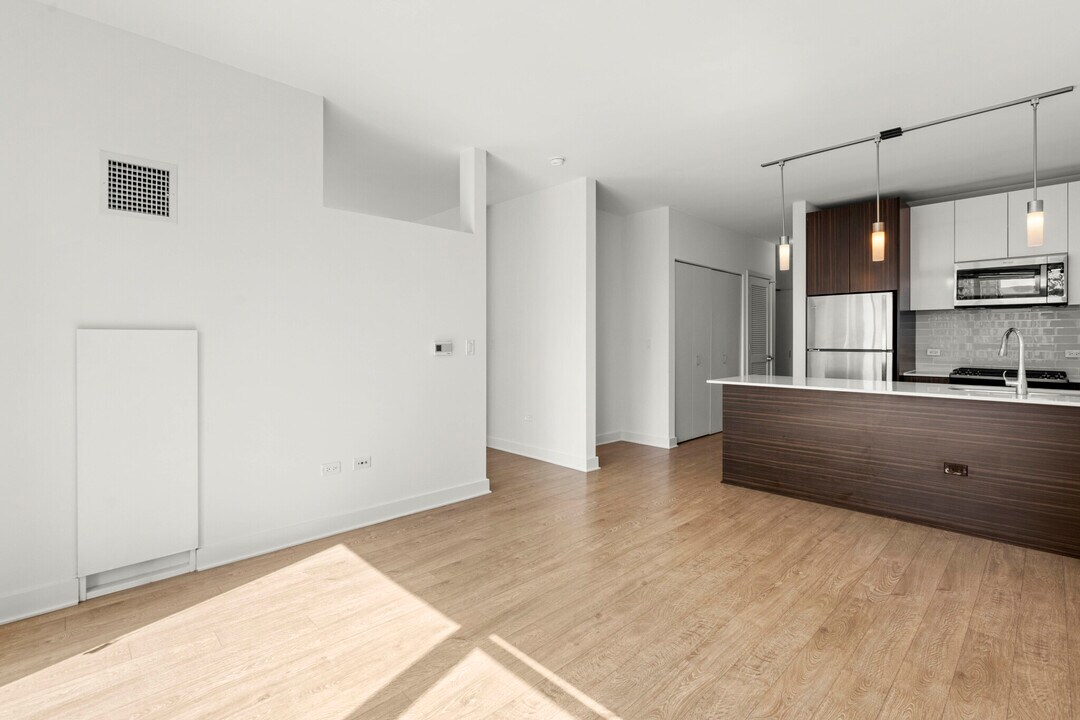 203 N Garland Ct in Chicago, IL - Building Photo