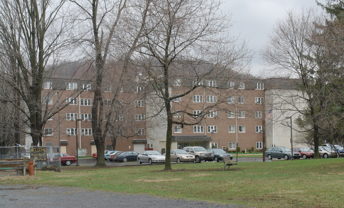 Pinnacle Towers in Wellsboro, PA - Building Photo