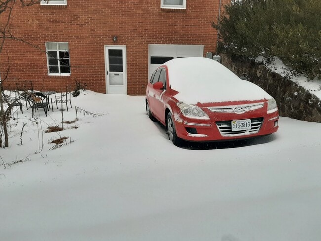 1701 Rugby Ave, Unit Basement Apt in Charlottesville, VA - Building Photo - Building Photo