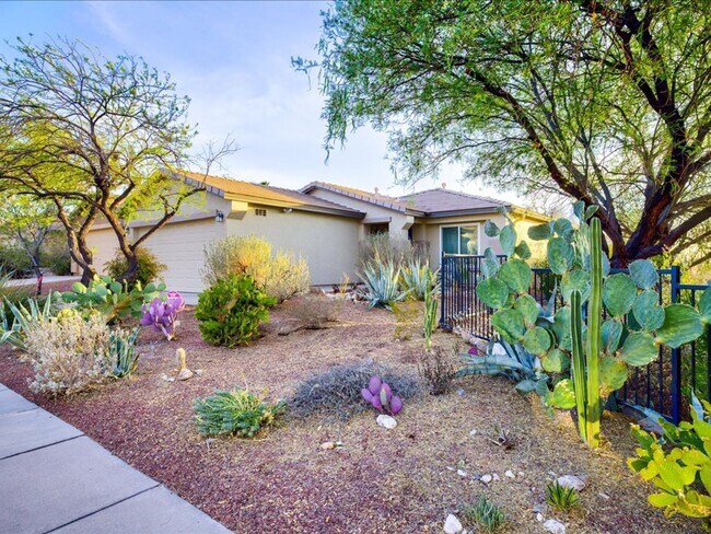 1380 S Brush Canyon Dr in Tucson, AZ - Building Photo - Building Photo