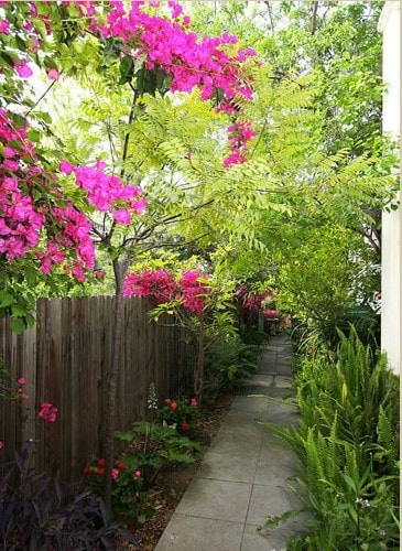 1608 Cerro Gordo St, Unit 1 in Los Angeles, CA - Building Photo - Building Photo