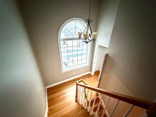 property at 46B Dominion Rd