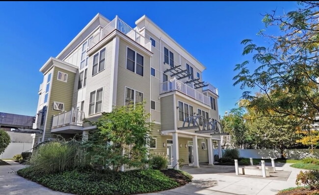 31 Wheeler St, Unit 202