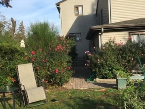 81 Elm St in Sayville, NY - Building Photo - Building Photo