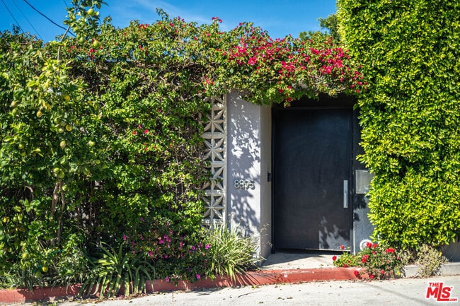 8895 Appian Way in Los Angeles, CA - Building Photo - Building Photo