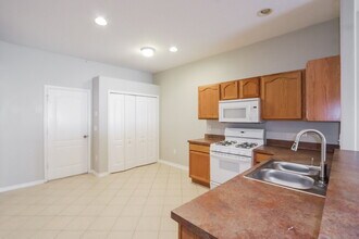 31248 Shaker Cir in Wesley Chapel, FL - Foto de edificio - Building Photo