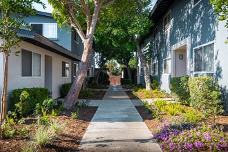 Orange Grove Apartments in Orange, CA - Building Photo - Building Photo