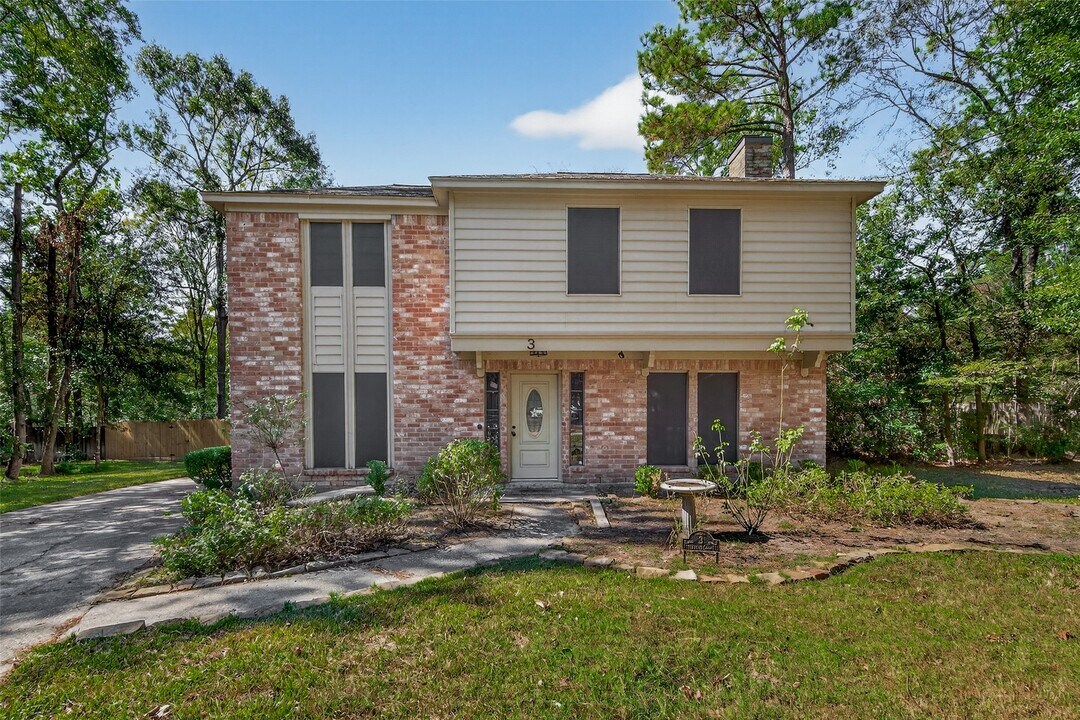 3 Nutmeg Ct in Spring, TX - Building Photo