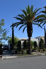 3933 Georgia St in San Diego, CA - Building Photo - Building Photo