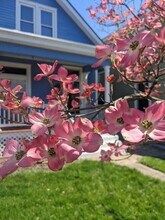 3742 Kenilworth Pl in Cincinnati, OH - Building Photo - Building Photo