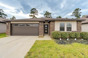 14245 Wonder Lake Ln in Shenandoah, TX - Building Photo