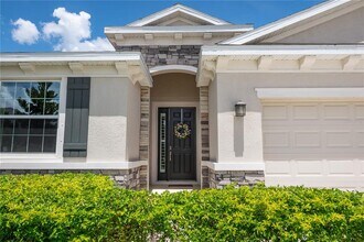 16619 Mooner Plank Cir in Wimauma, FL - Building Photo - Building Photo