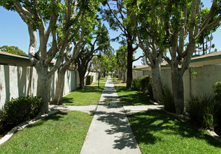 Knott Village Apartments in Anaheim, CA - Building Photo - Building Photo