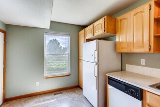 1036 Tierra Ln in Fort Collins, CO - Building Photo - Building Photo