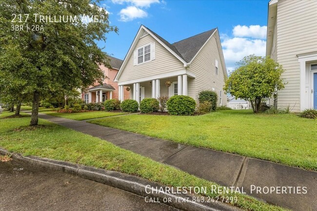 property at 217 Trillium Ave