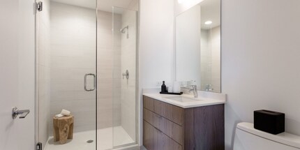 909 W Altgeld St in Chicago, IL - Foto de edificio - Building Photo