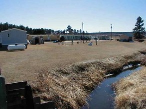 25083 Spring Pl in Custer, SD - Building Photo - Other