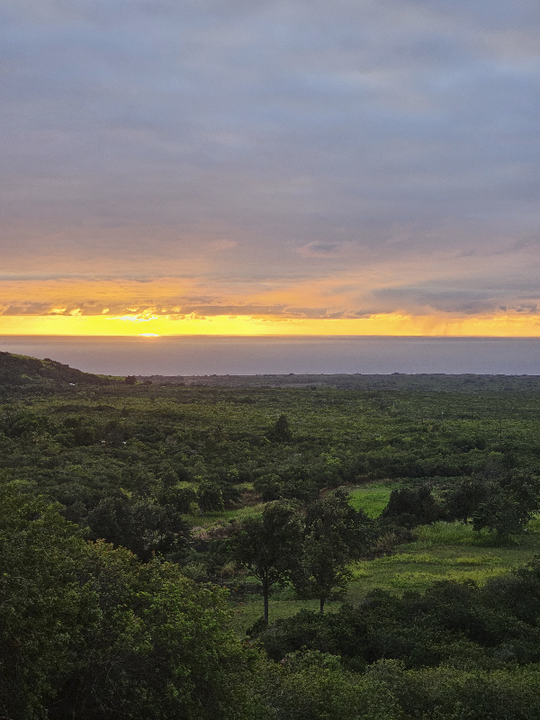 94-6273-6273 Mamalahoa Hwy in Naalehu, HI - Building Photo