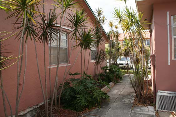 2302-2306 Johnson St in Hollywood, FL - Building Photo - Building Photo