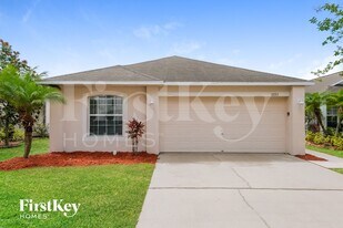 11153 Summer Star Dr in Riverview, FL - Building Photo