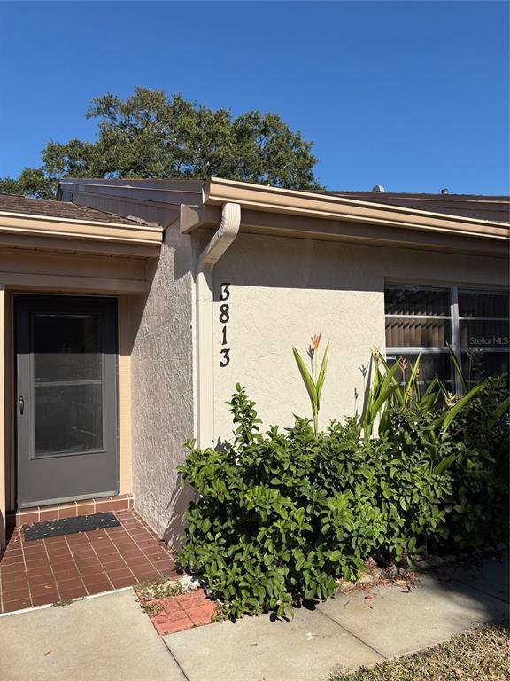 3813 Staysail Ln in Holiday, FL - Building Photo - Building Photo