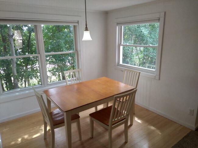 171 Swift St, Unit a in Oswego, NY - Building Photo - Building Photo