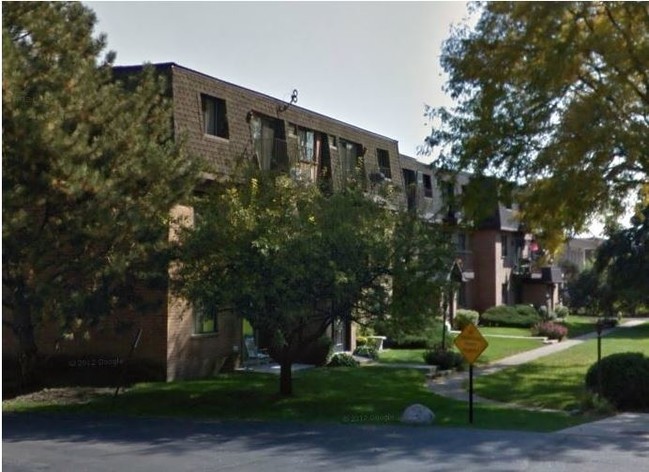 919 S McKinley Ave in Arlington Heights, IL - Foto de edificio - Building Photo